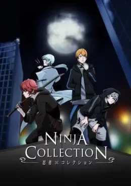 Ninja Collection VOSTFR streaming